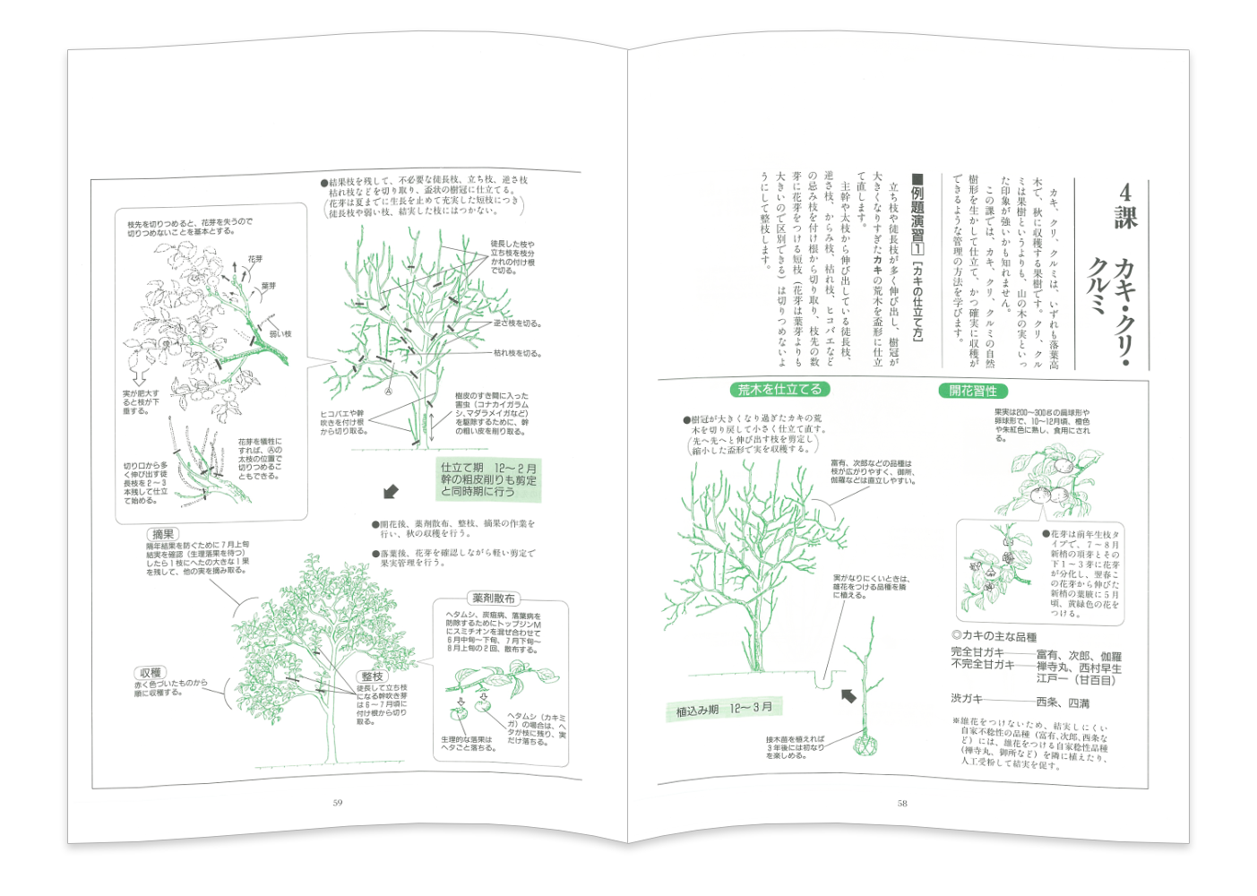 庭木と果樹の手入れ講座 文部科学省認定通信教育 公益財団法人国際文化カレッジ