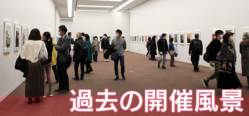 過去の開催風景